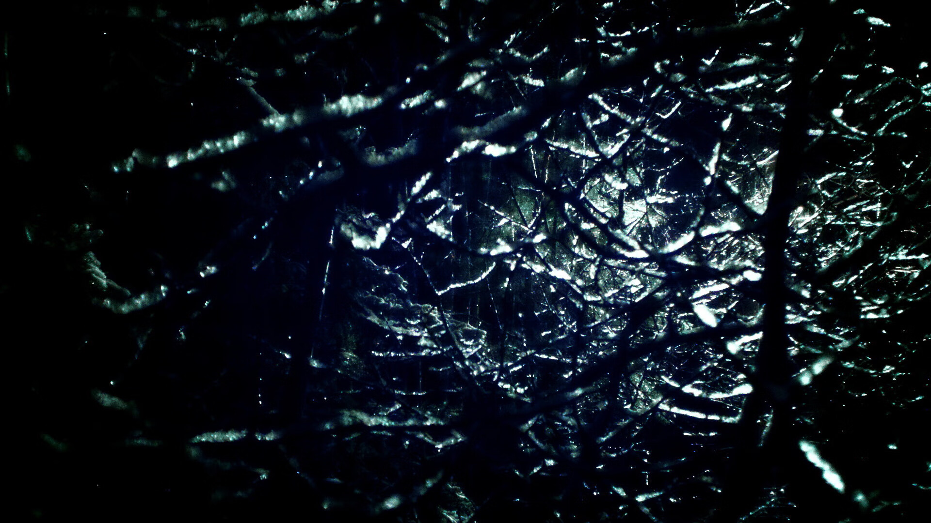 恩多比·恩乔的表现一直备受瞩目，他为南非队提供了无限可能，恩多什么意思