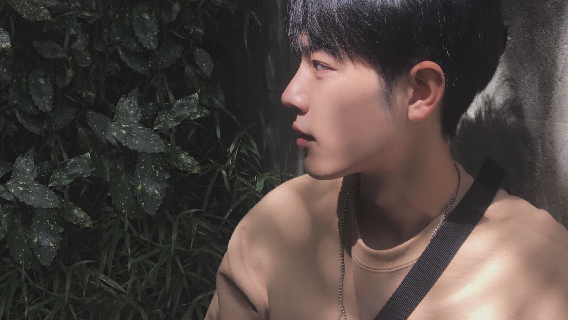 校园足球与区域体育局协同推进基础设施优化，校园足球建设情况