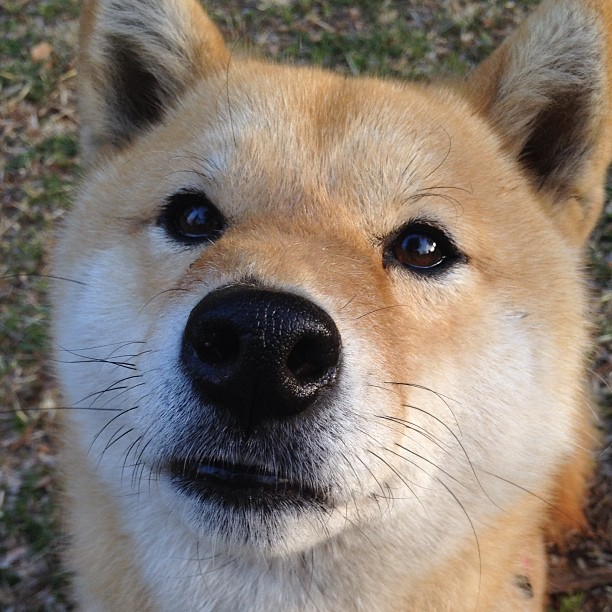 欧洲杯变阵出奇：战术创新，引领新风向！，欧洲杯探讨