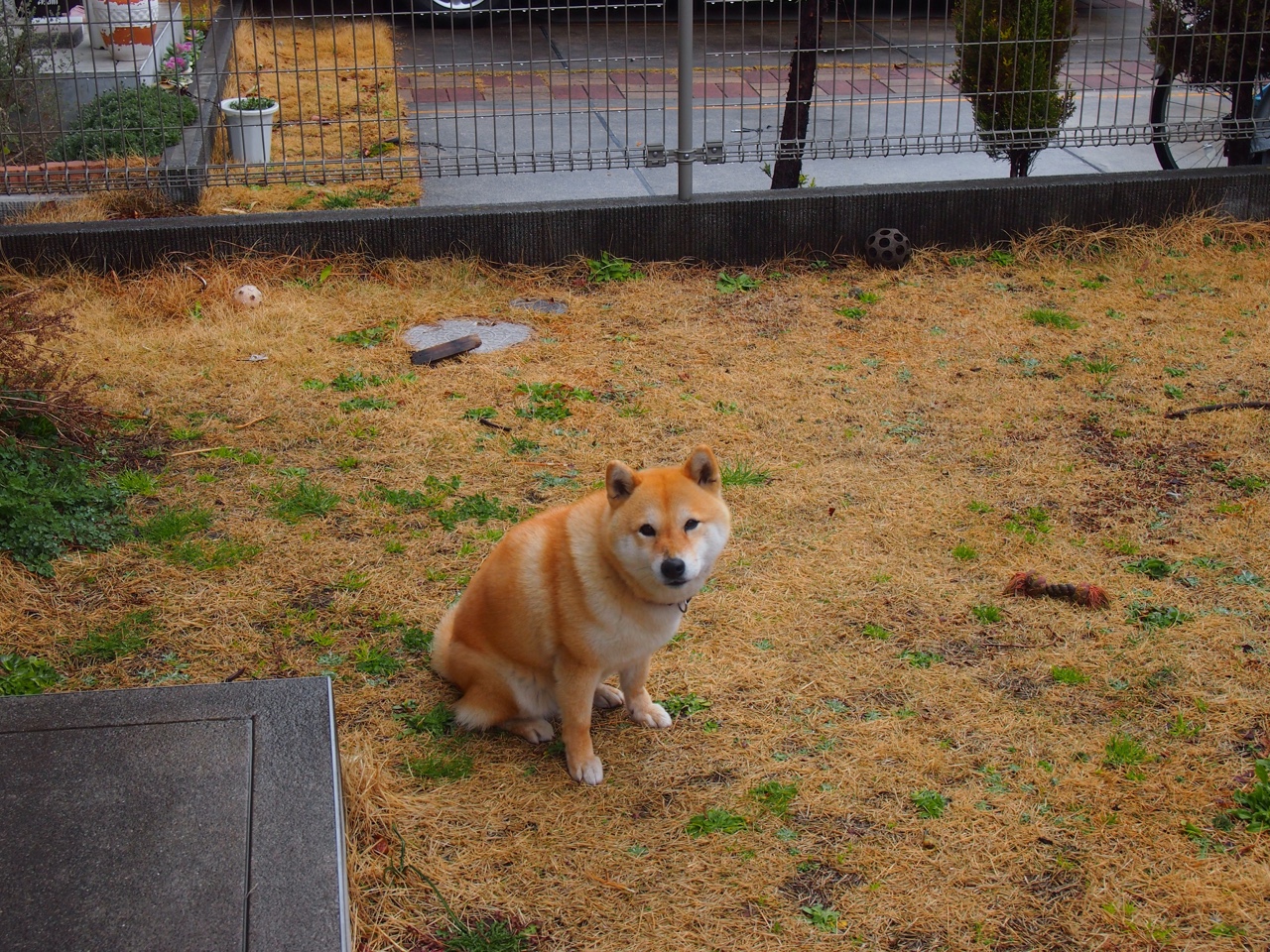 电竞内容制作人才培养计划启动，电竞行业人才